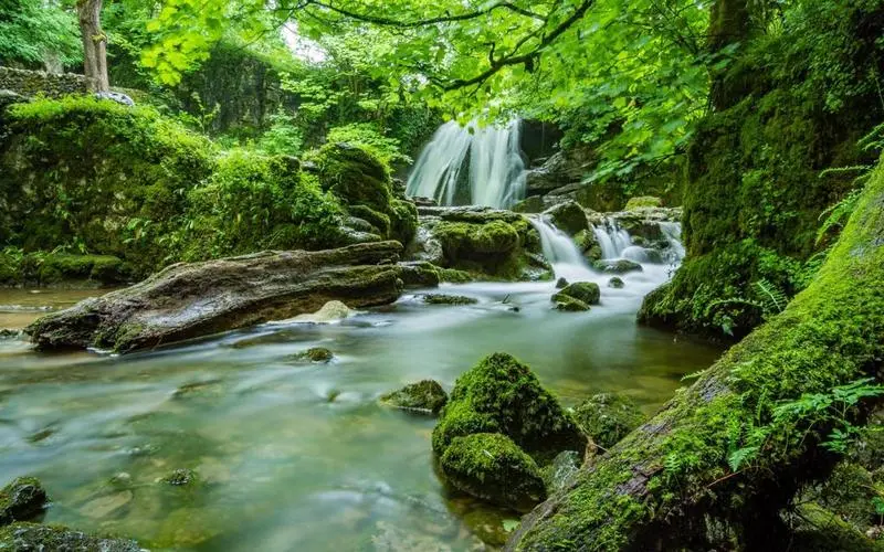 高精度绿色智能